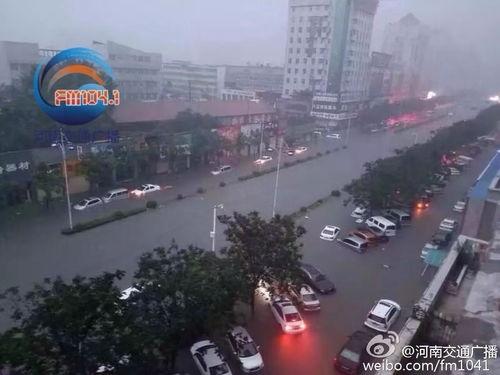 新乡记者爆料事件视频播放,视频揭露惊人真相