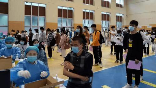 王子琪最新爆料消息,揭秘娱乐圈惊人内幕！  第2张